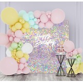 Paillettenwand Zilver Regenboog 24 Stuks 2.16m² - 58% Korting
