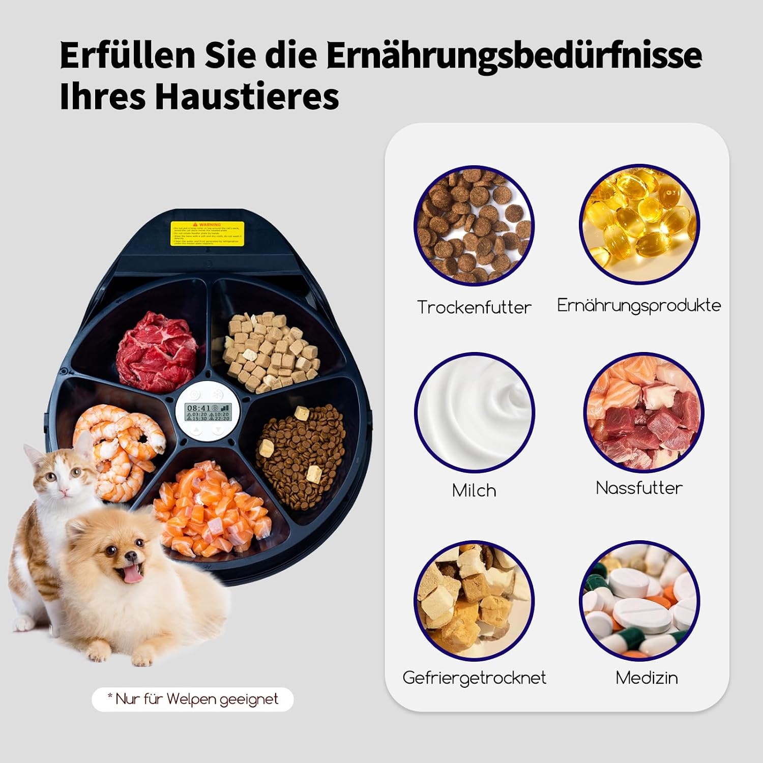 Voederautomaat voor katten, natvoer met koeling, halfgeleider-koudetechniek, timing-functie, kattenvoerautomaat, 5 voedervakken, premium borden, wasbaar, voor katten en honden