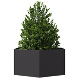 Zeshoekige Plantenbak Staal Zwart - 104x90x45cm - 34% Korting