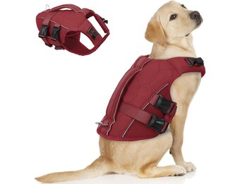 Honden Zwemvest ASENKU - Veilig & Comfortabel (Wine Red, XL) - 34% Korting