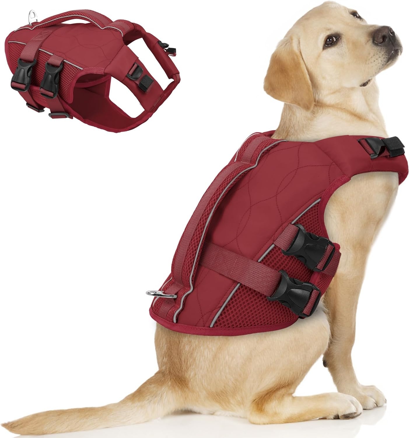 Honden Zwemvest ASENKU - Veilig & Comfortabel (Wine Red, XL) - 34% Korting
