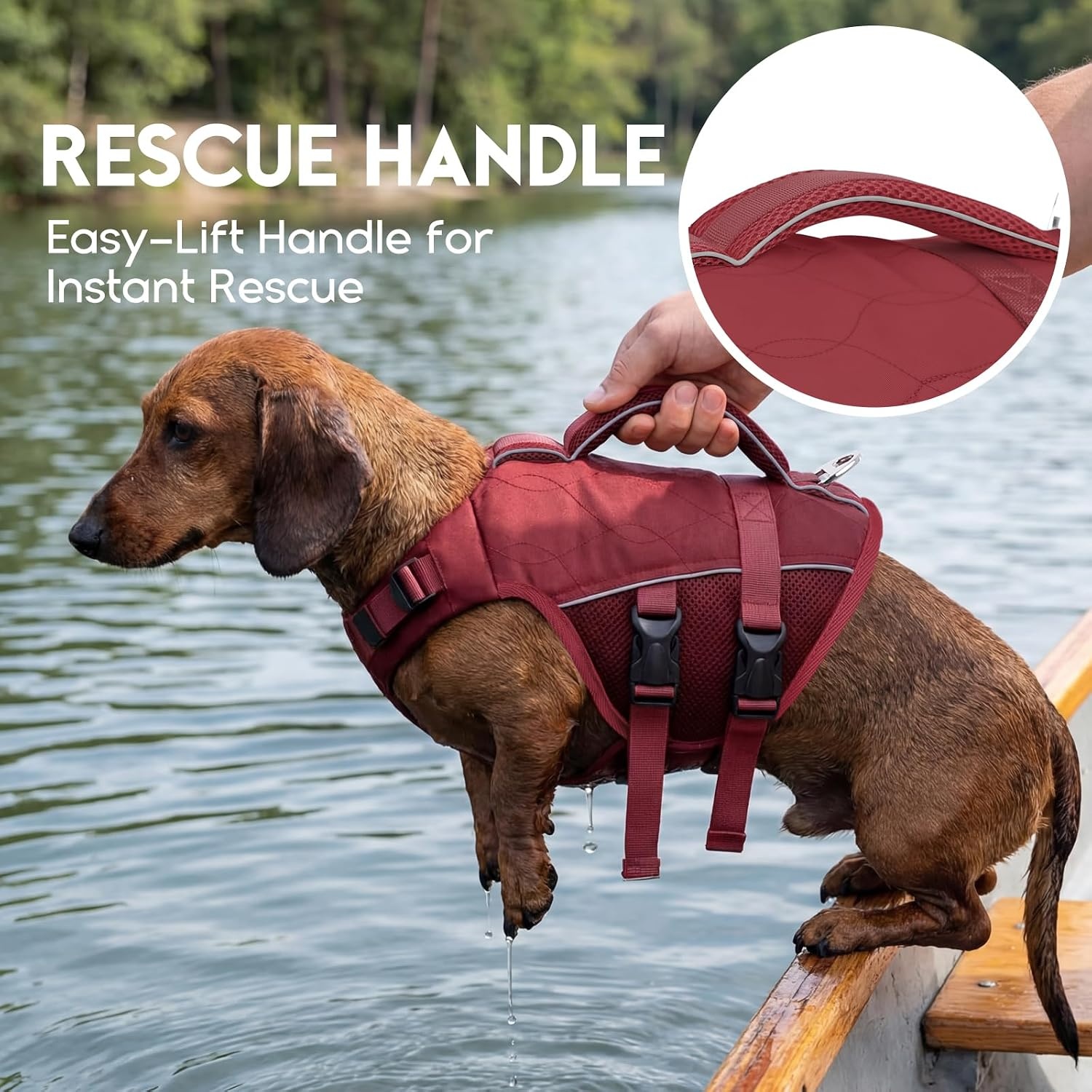 Honden Zwemvest ASENKU - Veilig & Comfortabel (Wine Red, XL) - 34% Korting