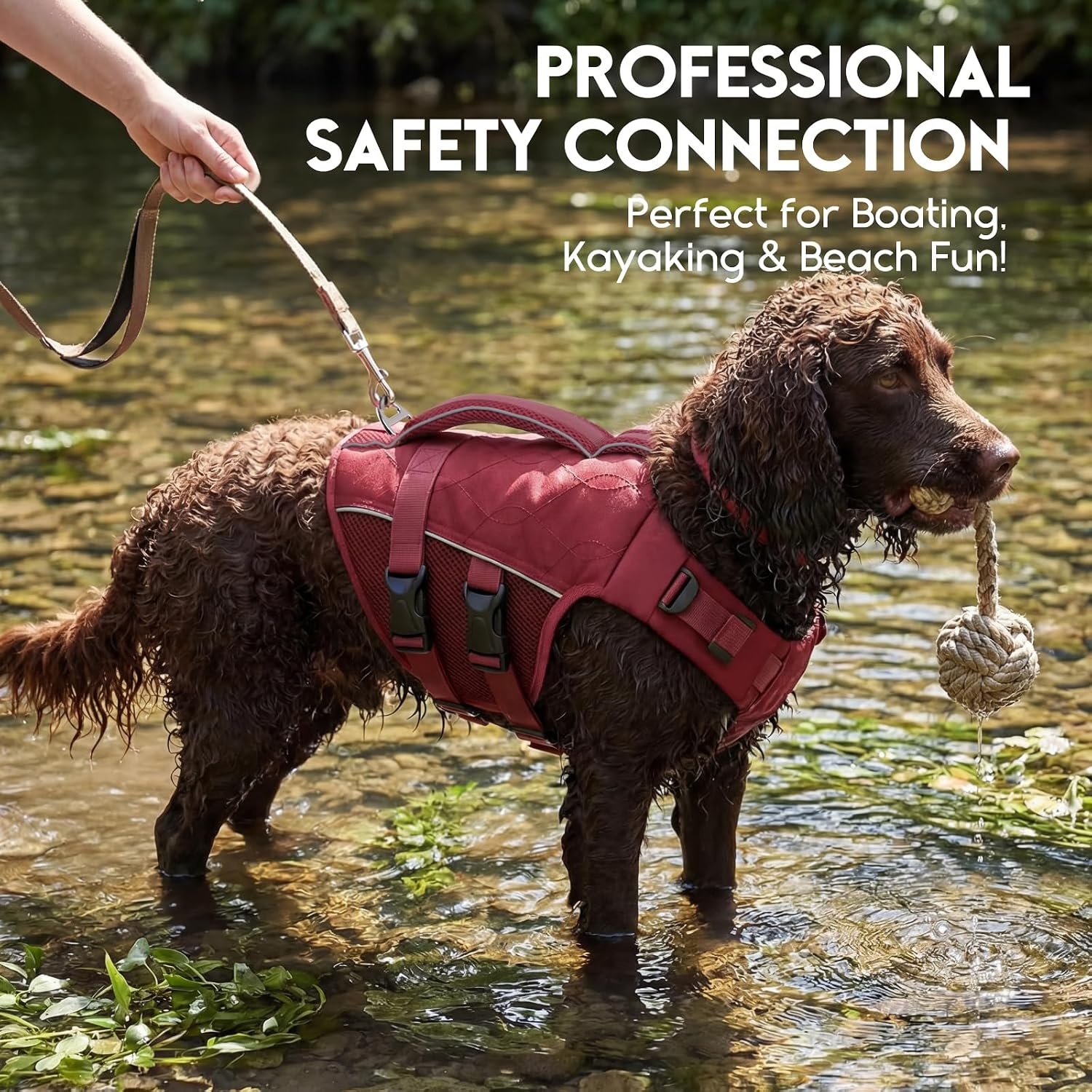 Honden Zwemvest ASENKU - Veilig & Comfortabel (Wine Red, XL) - 34% Korting