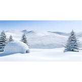 Aquarium Achtergrond Winterlandschap Iglo 61x41 cm - 45% Korting