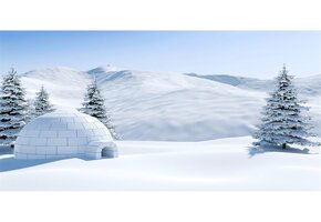 Aquarium Achtergrond Winterlandschap Iglo 61x41 cm - 45% Korting