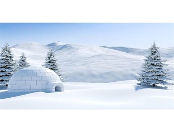 Aquarium Achtergrond Winterlandschap met Sneeuw en Iglo 61x41 cm
