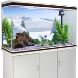 Aquarium Achtergrond Winterlandschap Iglo 61x41 cm - 45% Korting