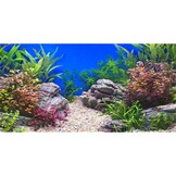 Aquarium Achtergrond Winterlandschap Iglo 61x41 cm - 45% Korting