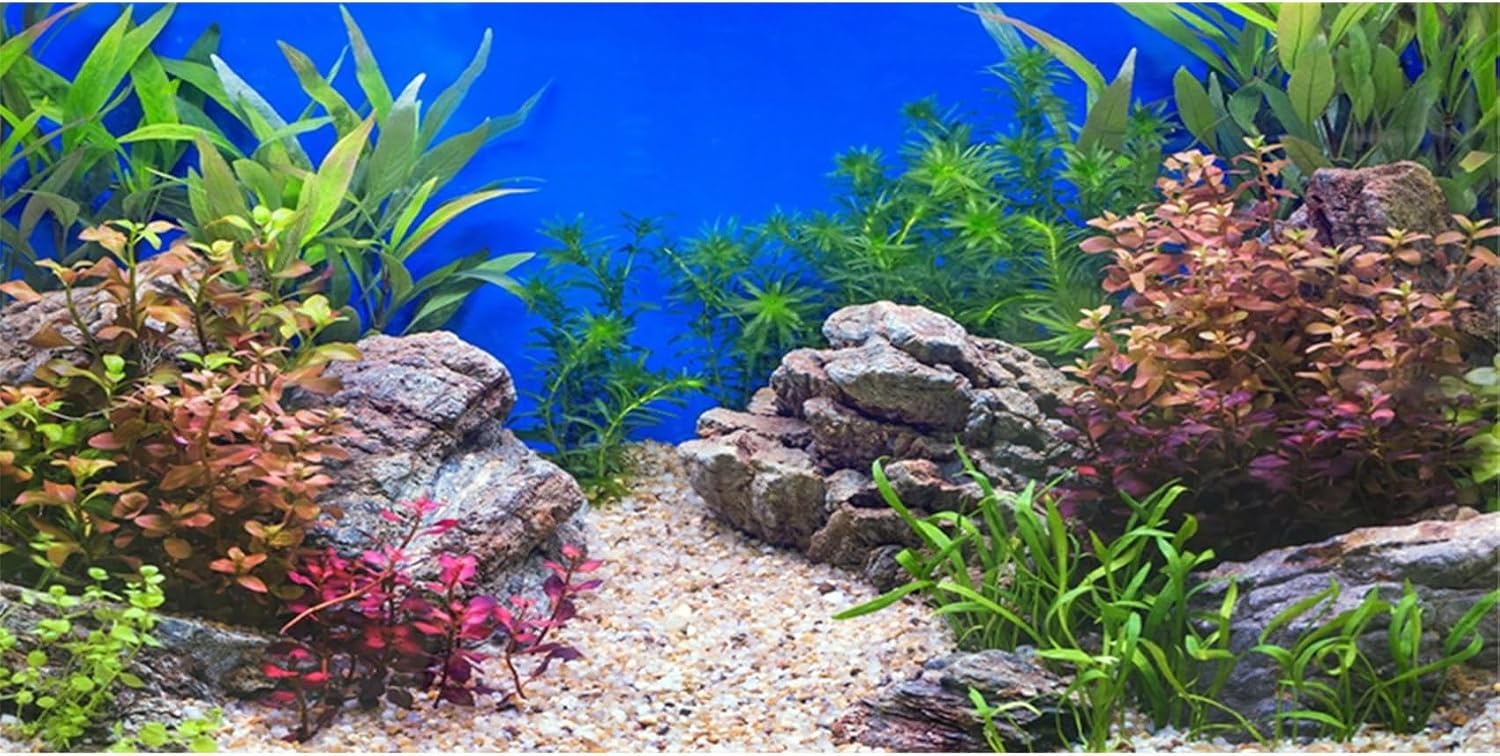 Aquarium Achtergrond Winterlandschap Iglo 61x41 cm - 45% Korting