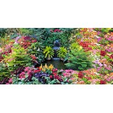 Aquarium Achtergrond Winterlandschap Iglo 61x41 cm - 45% Korting