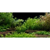 Aquarium Achtergrond Winterlandschap Iglo 61x41 cm - 45% Korting