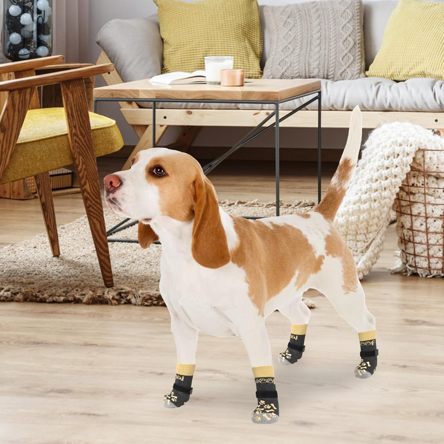 Antislip Hondensokken Maat XL Kaki - 59% Korting!