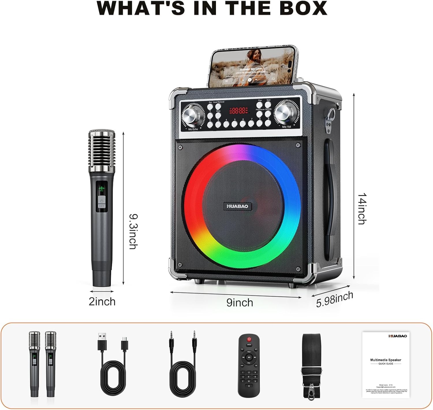 Karaoke Machine met 2 Microfoons