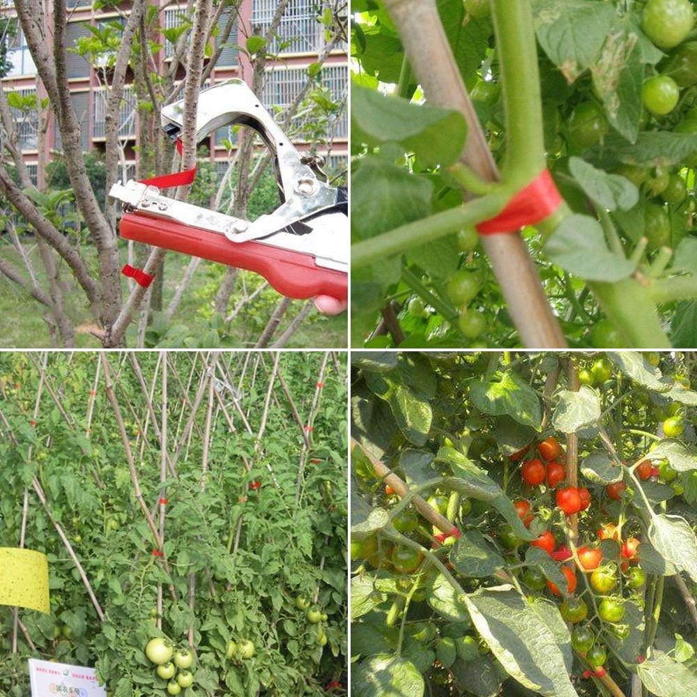 Plantenbindtang 33% Korting | Roestvrij Staal | Tuin & Fruit