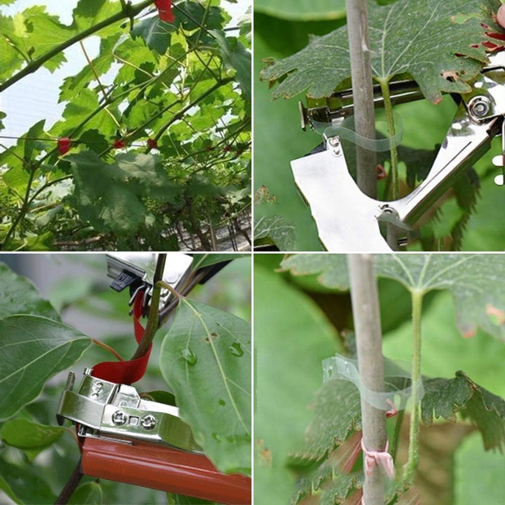 Plantenbindtang 33% Korting | Roestvrij Staal | Tuin & Fruit