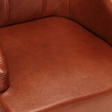 vidaXL Eetkamerstoelen (2 st) - Bruin Echt Geitenleer - 41% Korting