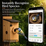 Vogelhuisje met Camera: 5MP HD WiFi, Nachtzicht, Zonne-energie