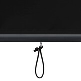 vidaXL Buitenrolgordijn 80x250cm Antraciet - 60% Korting