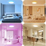 Plafondlamp LED 30cm Zwart, Dimbaar met RGB - 59% Korting!