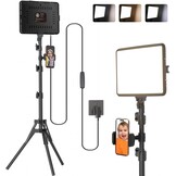 Video Licht