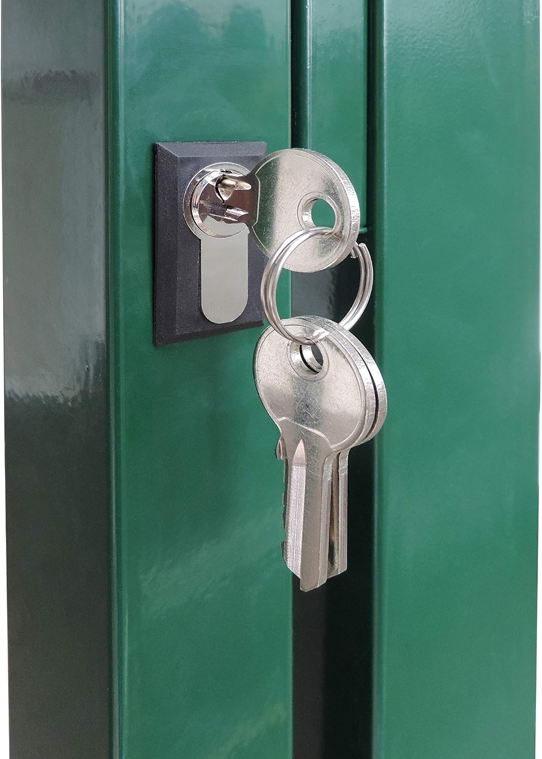 gate for rod mat fence, colour and height of your choice, incl. poles and mounting material (garden gate H 140 x W 100 cm, green)
