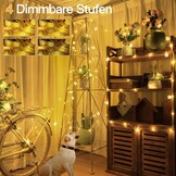 Ollny Lichtsnoer voor buiten, 10 m, 60 leds