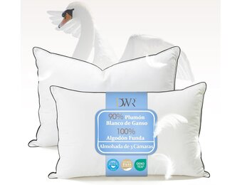 DWR Down Pillow 50 x 75 cm (2 Pieces) 3-Chamber Pillow 90% White Goose Down Outdoor Feather Mix Inside 100% Organic Cotton Cover Medium Support Sleeping Pillow RDS and Oeko-Tex - Maat 50x75 cm (2 Stück)