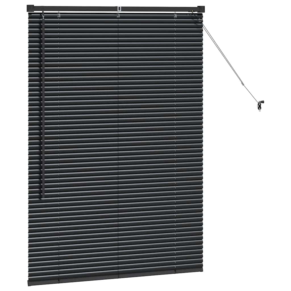 VidaXL Raamblind Aluminium Zwart - 56% Korting