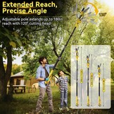 8 inch accu-takkenzaag en mini-kettingzaag, 2-in-1, borstelloze elektrische hoogsnoeier, compatibel met Dewalt 20 V accu (zonder accu) met 2,5 m telescoopstang, reserveketting, handschoenen en