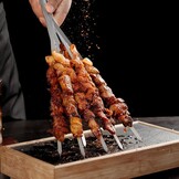 Universele Roterende BBQ Spies Set - RVS - 34% Korting
