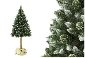 Kunstkerstboom 220cm Modulair met Grenen Stam & IJzige Twijgen (34% Korting)
