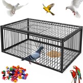 Pigeon Cage 60 cm Bird Cage for Collecting Pigeons, Letter Dove, Meat Pigeons, Snow Pigeons, Quail (Black)