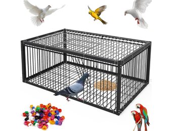 Pigeon Cage 60 cm Bird Cage for Collecting Pigeons, Letter Dove, Meat Pigeons, Snow Pigeons, Quail (Black)