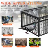 Pigeon Cage 60 cm Bird Cage for Collecting Pigeons, Letter Dove, Meat Pigeons, Snow Pigeons, Quail (Black)