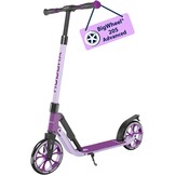 Step BigWheel 205 Advanced - 35% Korting!
