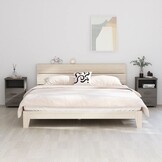 vidaXL Nachtkastjes HAMAR 2 st 40x35x62 cm grenenhout lichtgrijs