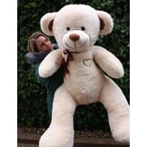 Reusachtige Teddybeer 75x85cm - Beige/Bruin (34% Korting!)