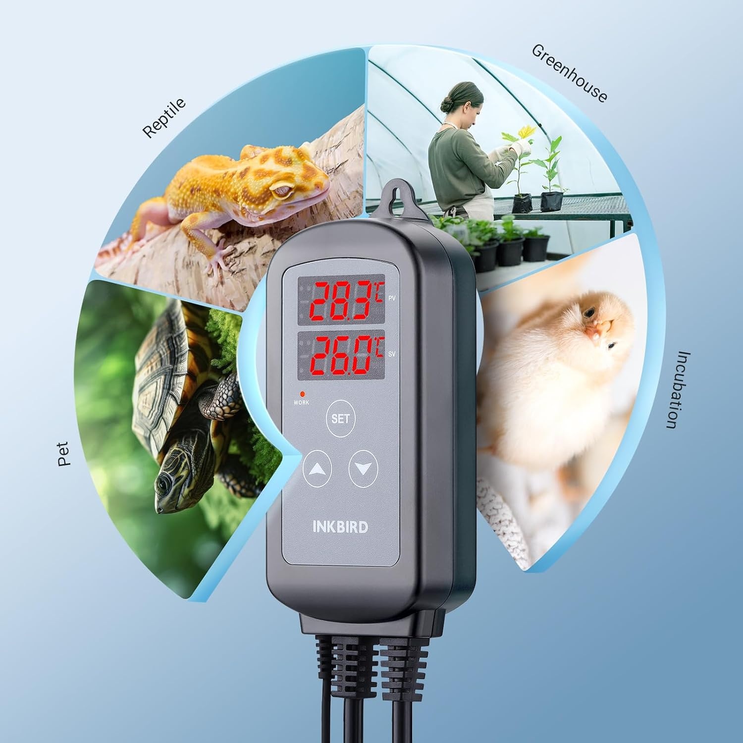 Inkbird ITC-2T Digitale Temperatuurregelaar met 2 Verwarmingsaansluitingen | Thermostaat met Dag Nachtcyclustimer, Alarmfunctie, voor Terrarium, Kas, Reptiel