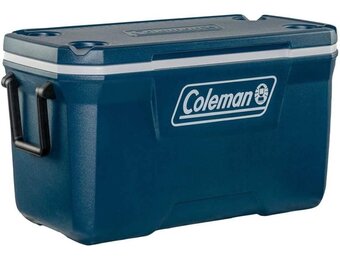 66L Koelbox: Ideaal voor Kamperen & Festivals (29% Korting)