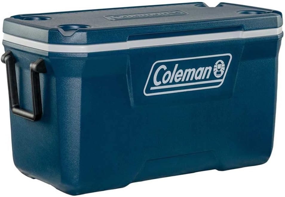 66L Koelbox: Ideaal voor Kamperen & Festivals (29% Korting)