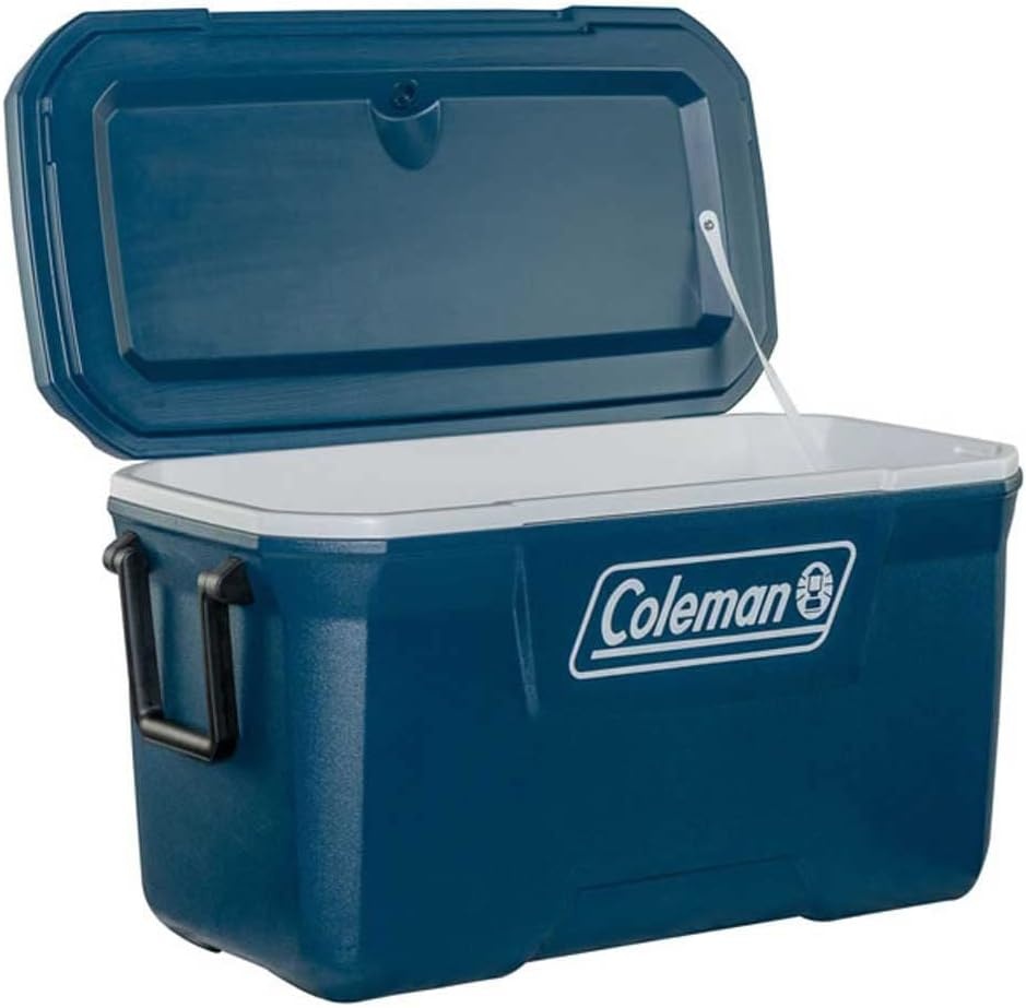 66L Koelbox: Ideaal voor Kamperen & Festivals (29% Korting)