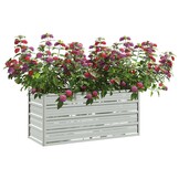 Verhoogde Plantenbak Staal 100x40x45 cm Zilver - 39% Korting