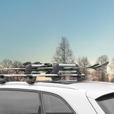 Ski- & Snowboarddrager Dak - Universeel, Zilver, 41cm (34% Korting!)