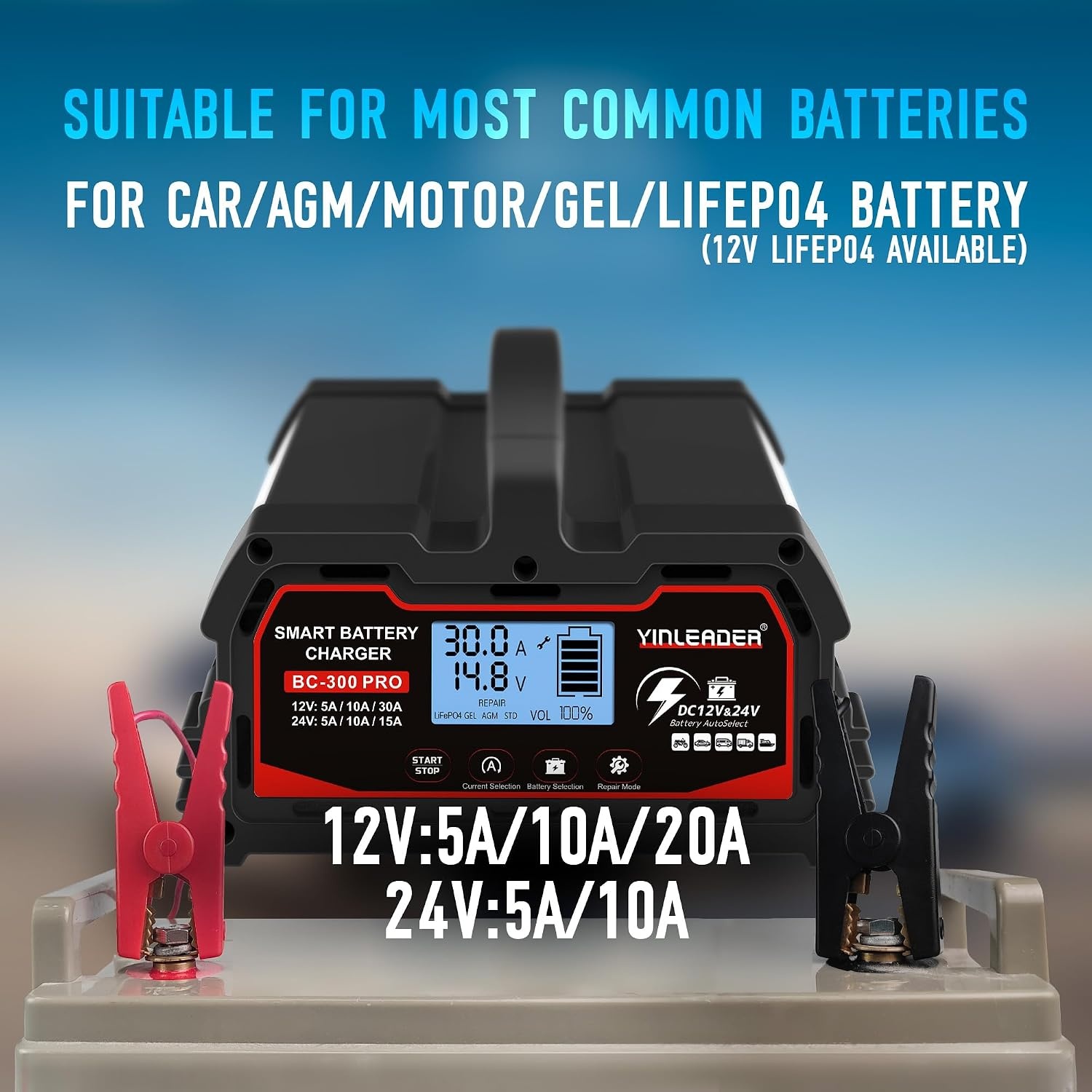 Autoaccu Lader 12/24V 30A LiFePO4 Intelligente Oplader met LCD