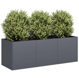 vidaXL Plantenbak 120x40x40 cm koudgewalst staal antracietkleurig