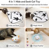 Interactief Kattenspeelgoed: 4-in-1 Oplaadbaar Speelplezier