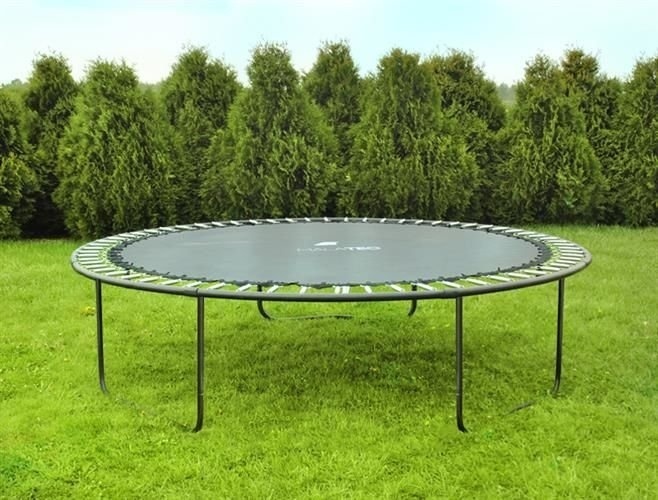 Trampoline 244 cm Zwart met Net & Ladder - 25% Korting