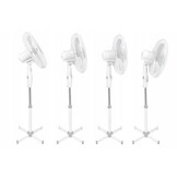 Stabiele Vloerventilator Esperanza 50W - 3 Snelheden - Wit - 32% Korting