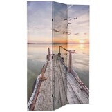 vidaXL Kamerscherm inklapbaar meer 120x170 cm