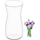 Decoratieve glazen vaas Helder 20 cm hoog | Ø 8.5 cm opening | Voor verse & gedroogde bloemen & pampasgras